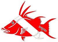 Keezy Life hogfish