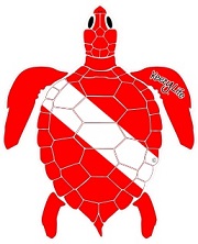 Keezy Life turtle