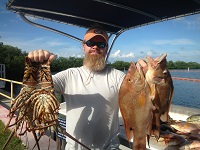 Lobster + Hogfish