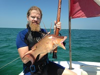 Hogfish