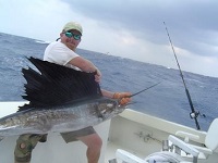 Sailfish