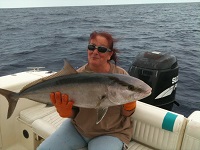 Amberjack